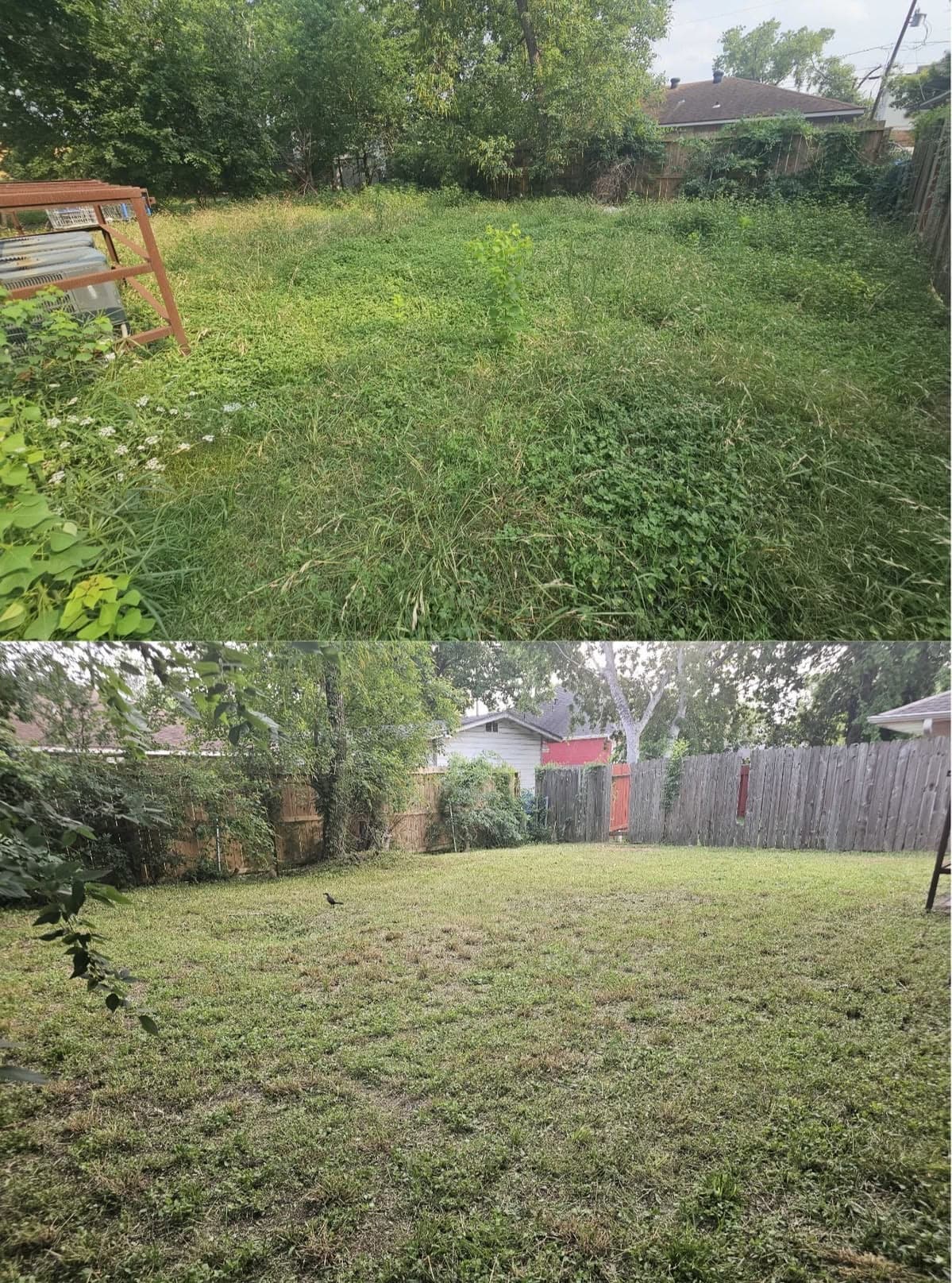 Completed TerraNova seasonal yard cleanup project